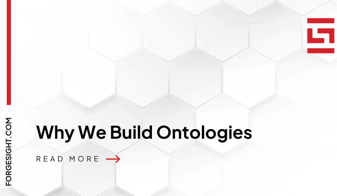 Why We Build Ontologies